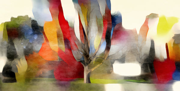 Trees by the River Mersey, Manchester